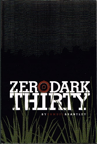 Zero Dark Thirty.