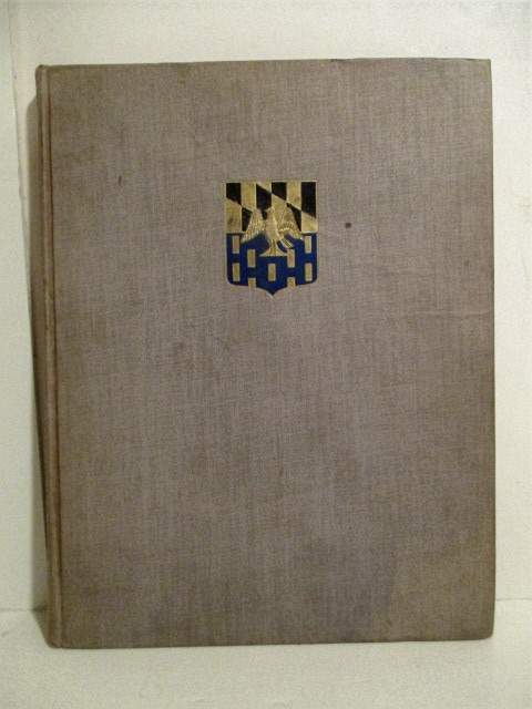 History of the 313th Infantry in World War II.