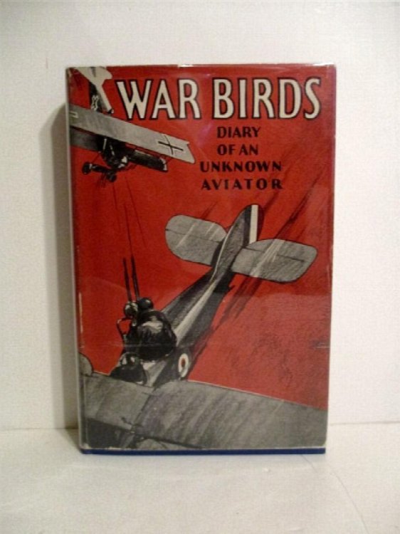 Warbirds: Diary of an Unknown Aviator.