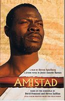 AMISTAD - JUNIOR NOVEL