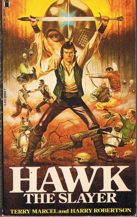 HAWK THE SLAYER