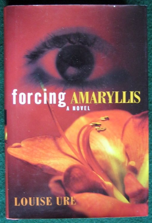 FORCING AMARYLLIS