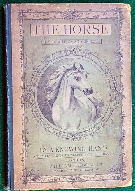 THE HORSE: HIS BEAUTIES AND DEFECTS