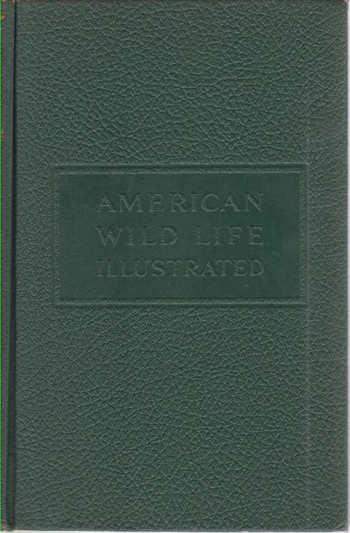 AMERICAN WILD LIFE ILLUSTRATED
