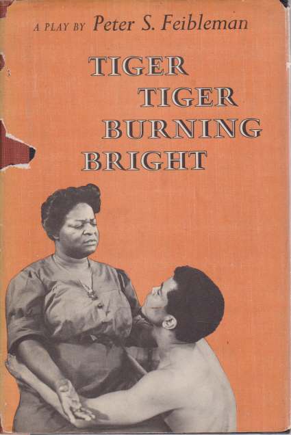 TIGER TIGER BURNING BRIGHT