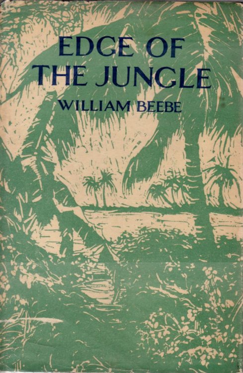 EDGE OF THE JUNGLE