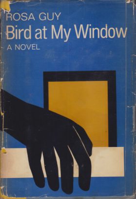 BIRD AT MY WINDOW