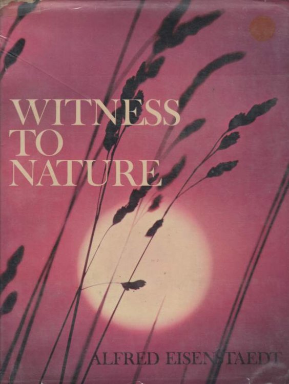 WITNESS TO NATURE