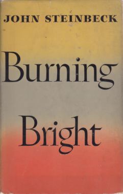 BURNING BRIGHT