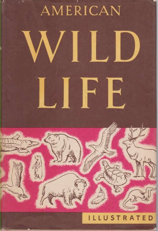 AMERICAN WILD LIFE ILLUSTRATED Compiled by the Writers' Program of the Work Projects Administration in the City of New York