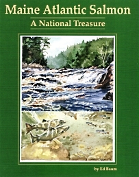 MAINE ATLANTIC SALMON: A National Treasure