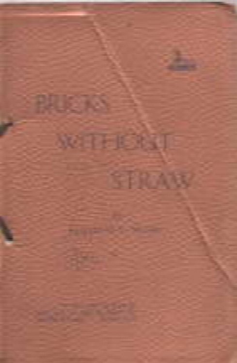 Bricks Without Straw