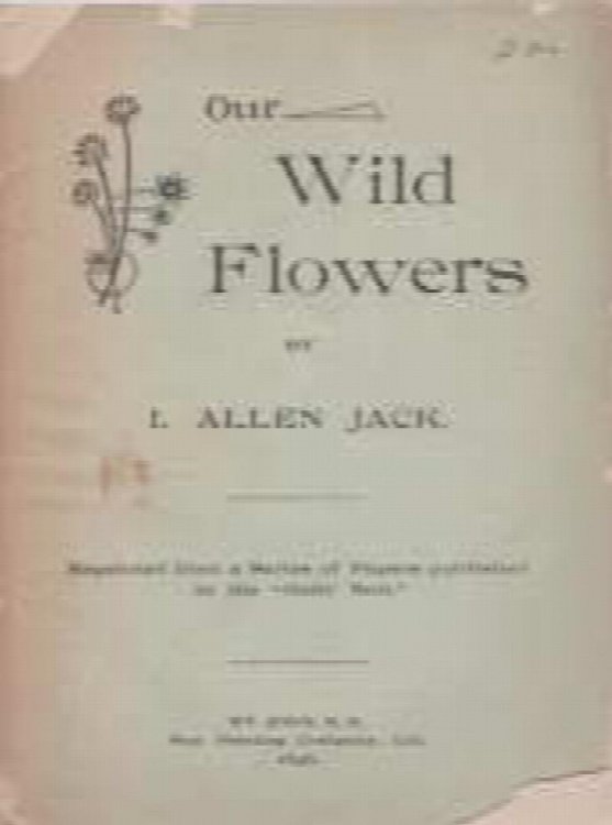 Our wild flowers