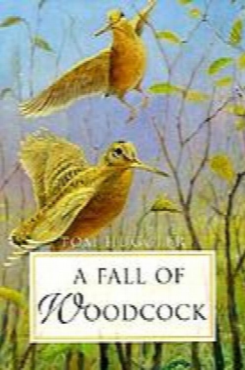 A Fall of Woodcock