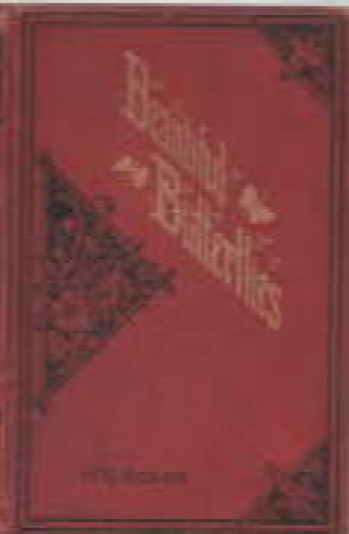 Beautiful butterflies : described and illustrated with the history of a butterfly through all its changes and transformations