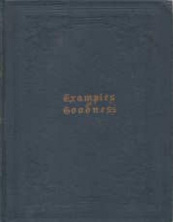 Examples of goodness : narrated for the young; Translated from the German