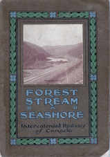 Forest, stream and seashore