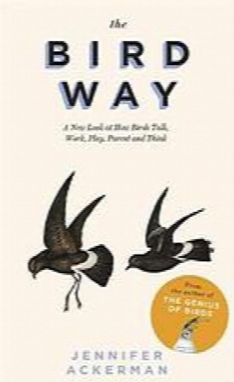 The Bird Way