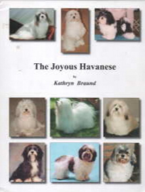 The joyous Havanese