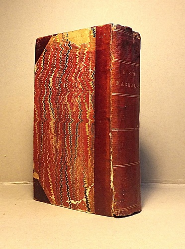 The New Magdalen (1873)