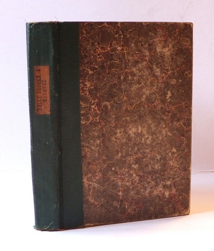 [ODD V0LUME]: Nellie Brooke. A Homely Story (1868), Volume 1 (of 2) only