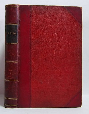 Beppo, the Conscript (1864)