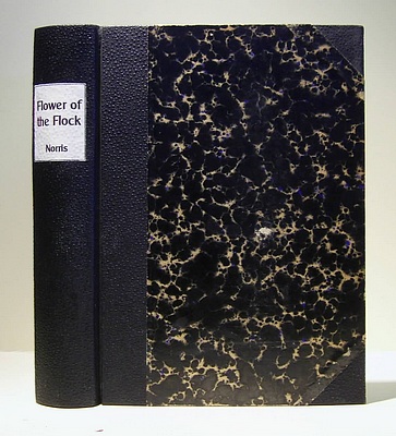 The Flower of the Flock (1900)