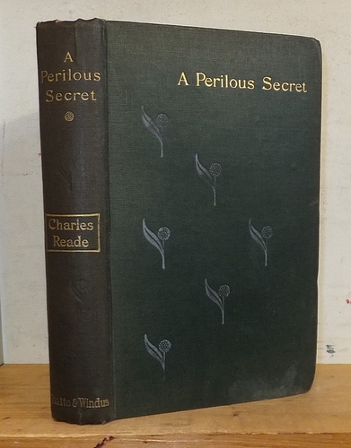 A Perilous Secret (1885)