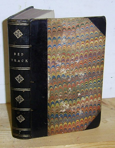 The Red Track A Story of Social Life in Mexico (1862) [Valentin Guillois, 1862]