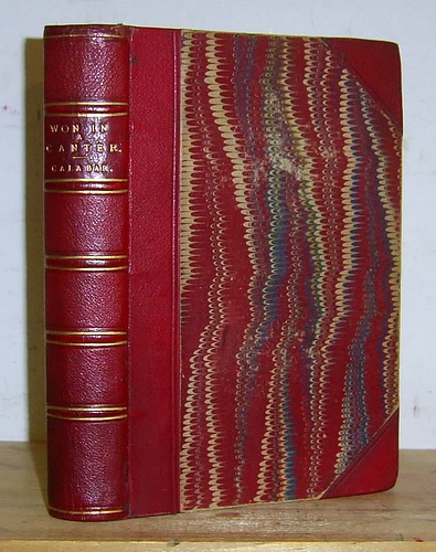 Won in a Canter (1874)