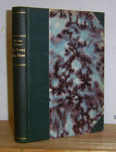 The Young May Moon (1929)