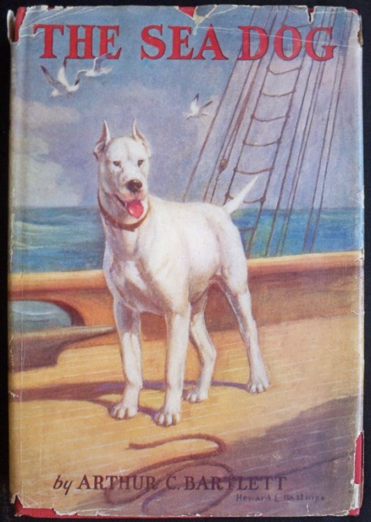 THE SEA DOG