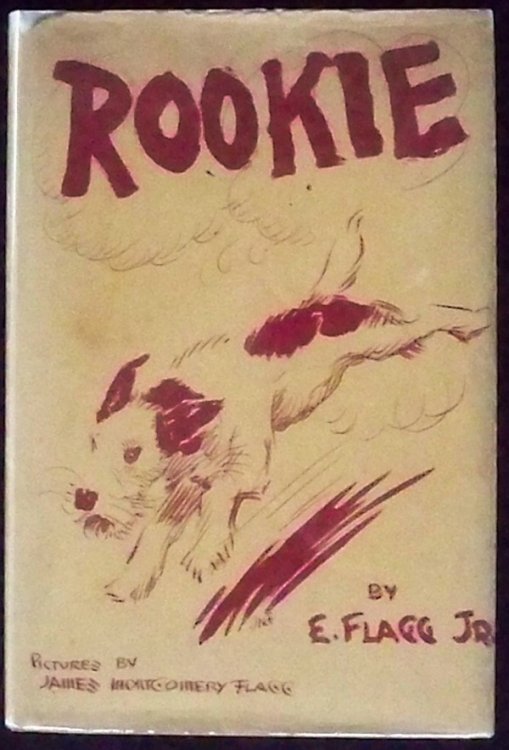 ROOKIE