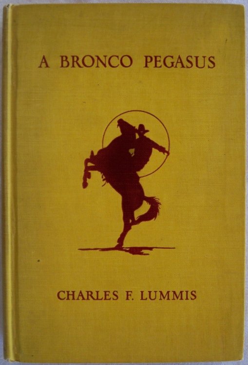 A BRONCO PEGASUS