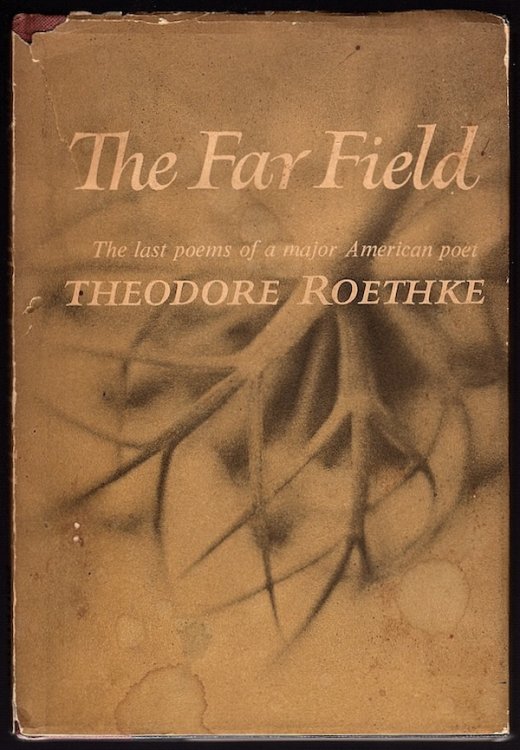 THE FAR FIELD