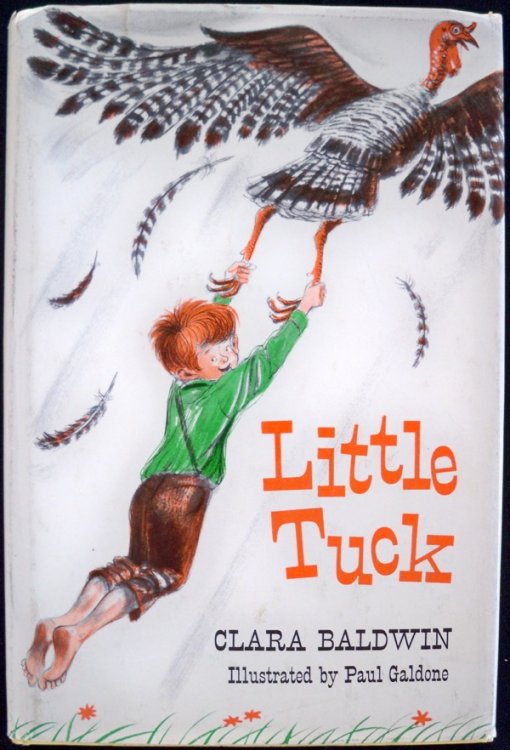 LITTLE TUCK