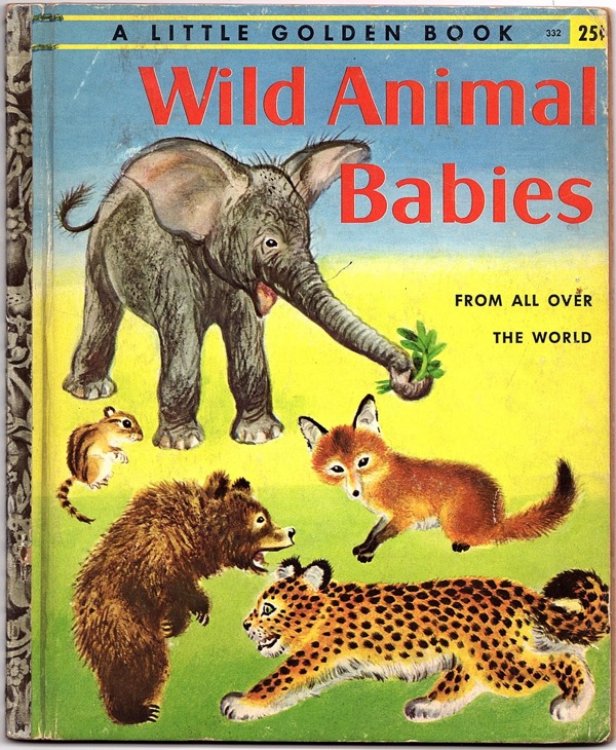 WILD ANIMAL BABIES