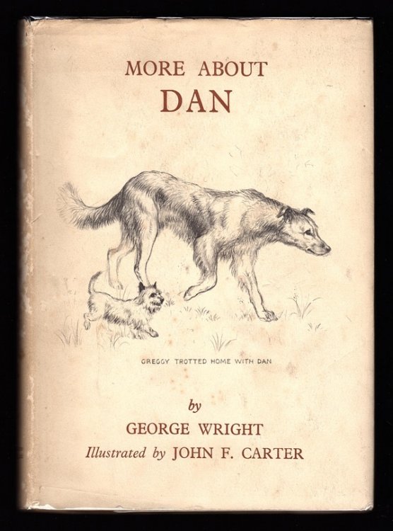 MORE ABOUT DAN