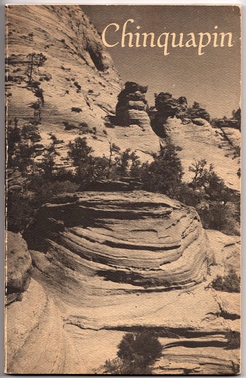 CHINQUAPIN, SPRING 1980, VOL. 1, NO. 1