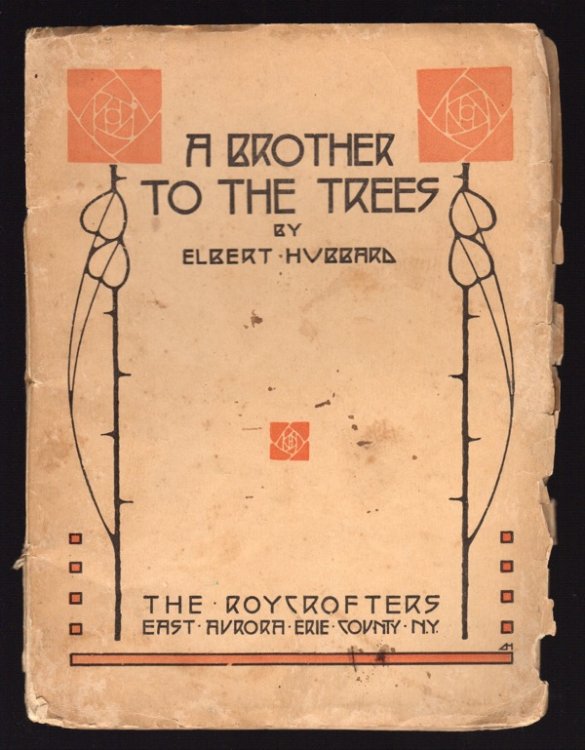 A BROTHER TO THE TREES