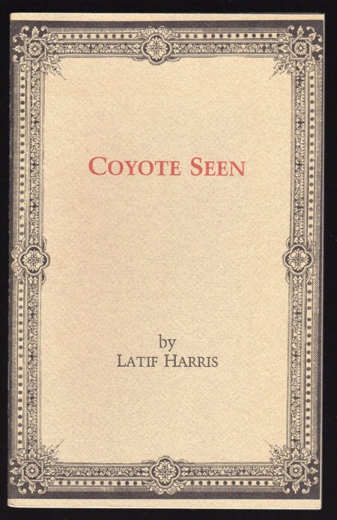 COYOTE SEEN