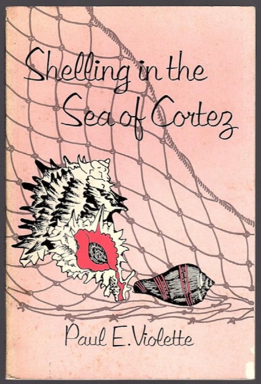 SHELLING IN THE SEA OF CORTEZ