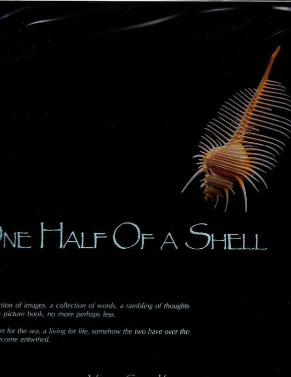 One Half of a Shell