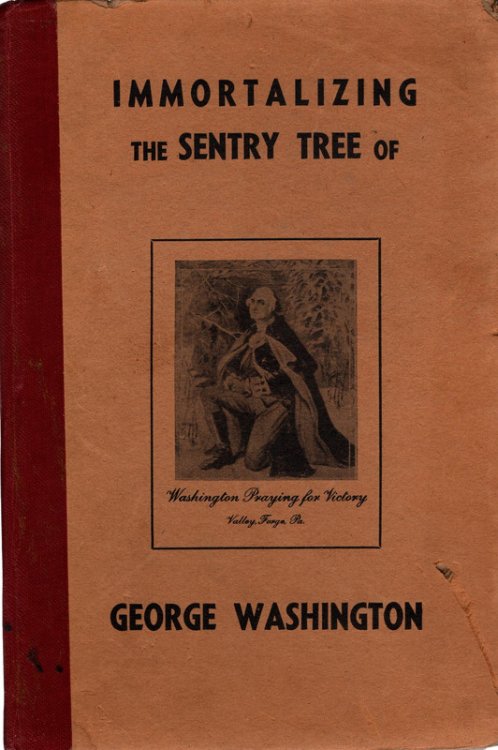 Immortalizing the Sentry Tree of George Washington