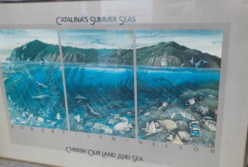 CATALINA'S SUMMER SEAS: Cherish Our Land and Seas by Robert Lyn Nelson FRAMED PRINT 1987