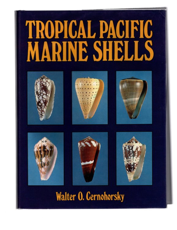 Tropical Pacific Marine Shells