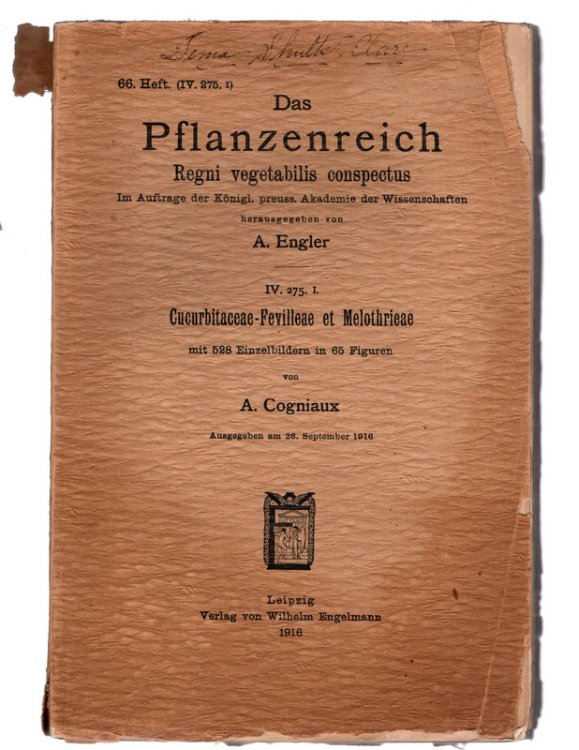 Das Pflanzenreich: Regni vegetabilis conspectus. 66. Heft. (IV. 275. I). VINTAGE GERMAN ILLUSTRATED PLANT PAPERBACK. Leipzig: Verlag von Wilhelm Engelmann, 1916.