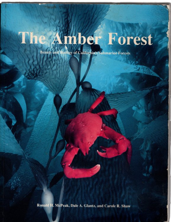 Amber Forest: Beauty and Biology of California's Submarine Forests