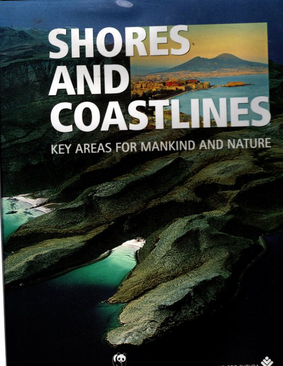 Shores and Coastlines