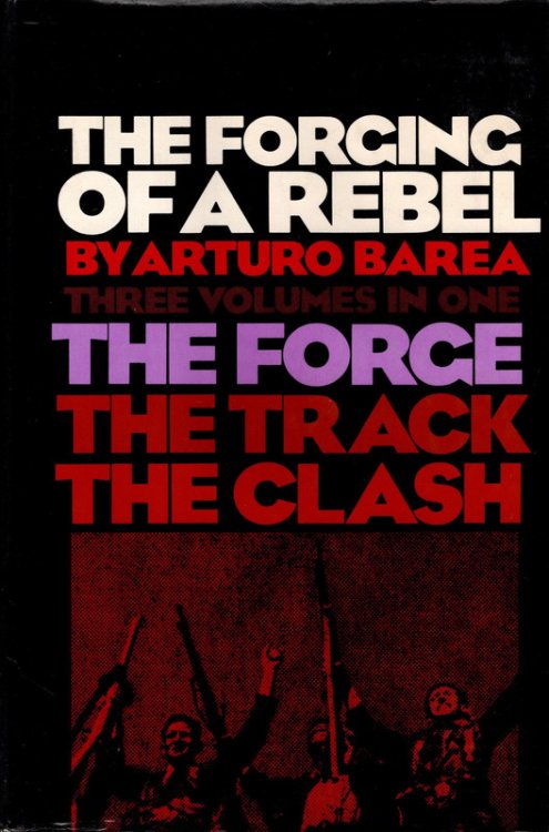 The Forging of a Rebel